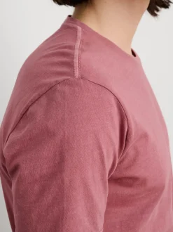 Hot Alex Mill Lightweight Mercer Tee Currant